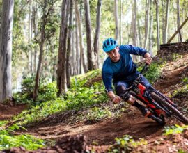 Foto: Pixabay/Lingarto