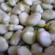 broad bean 2555046_960_720 80x80