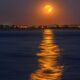 full moon 8139190_1280 80x80
