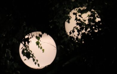 Ulično svjeto u noći - dvije kugle zaklanjaju grane drveća