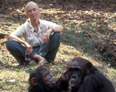 Jane Goodall