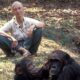 Jane Goodall